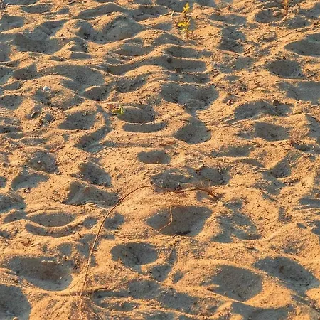 Seebrise, Mit Sauna, Ruderboot Und Strand- Und Seezugang * Dummer
